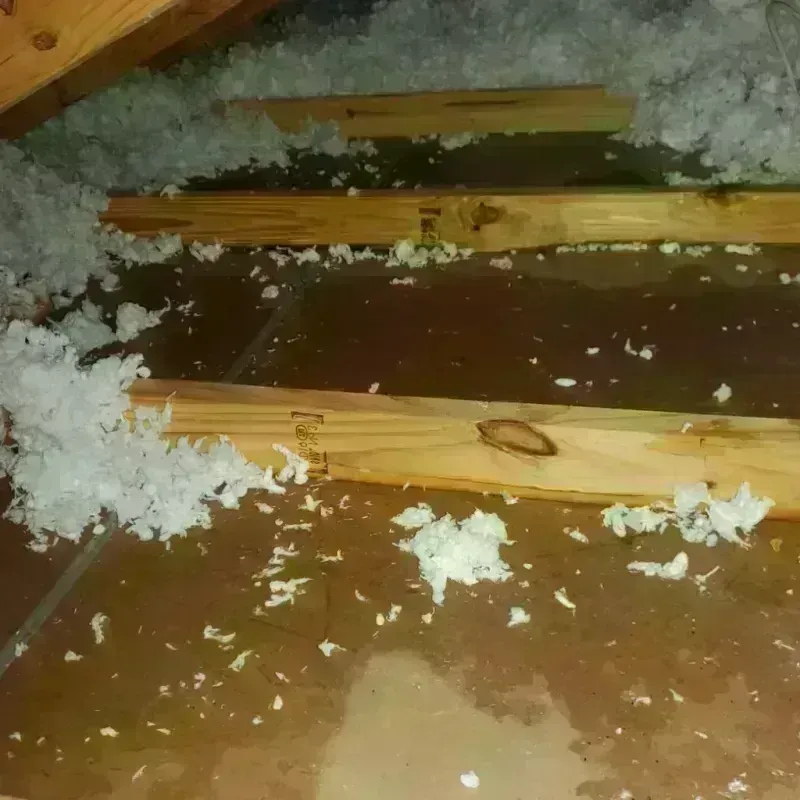 Attic Water Damage in Blair, WI