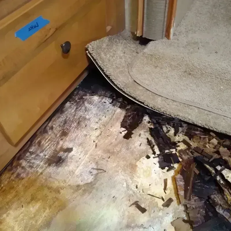 Wood Floor Water Damage in Blair, WI